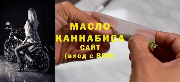 соль ск Новозыбков
