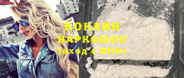 соль ск Новозыбков
