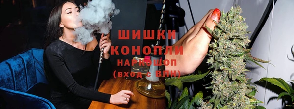 соль ск Новозыбков