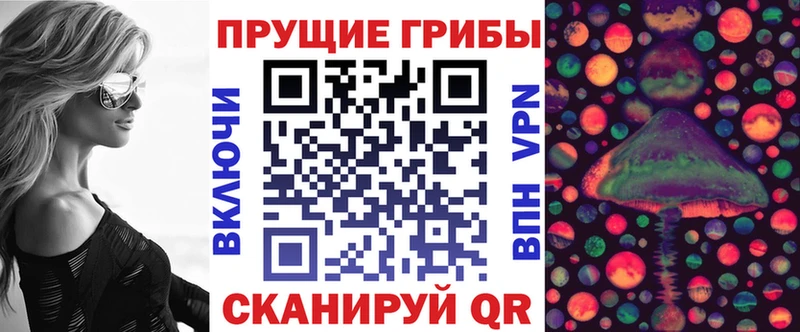 Купить где  Харовск  Псилоцибиновые грибы Psilocybe 